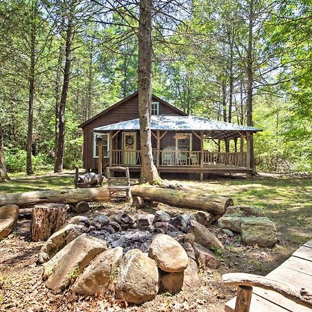 Clearwater Cabin On 10 Acres With Trout Stream! Monterey Buitenkant foto