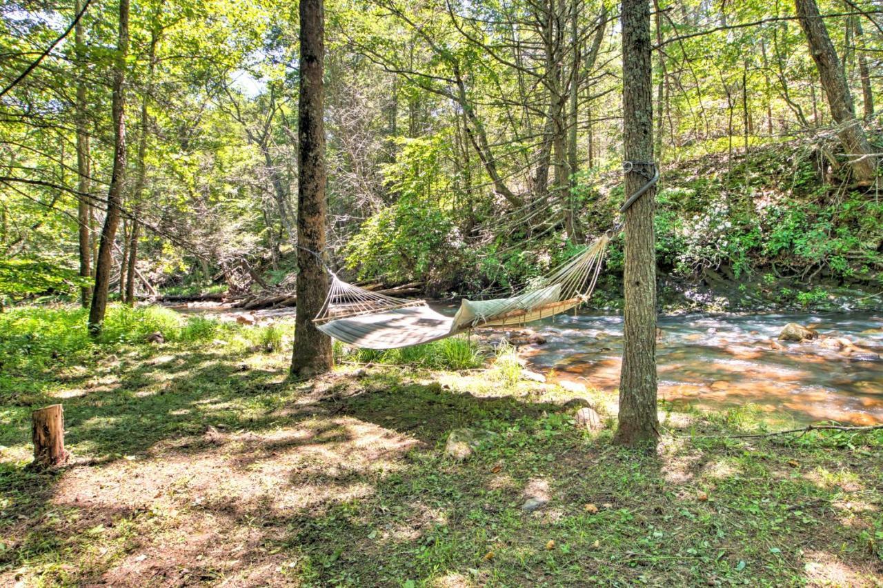 Clearwater Cabin On 10 Acres With Trout Stream! Monterey Buitenkant foto